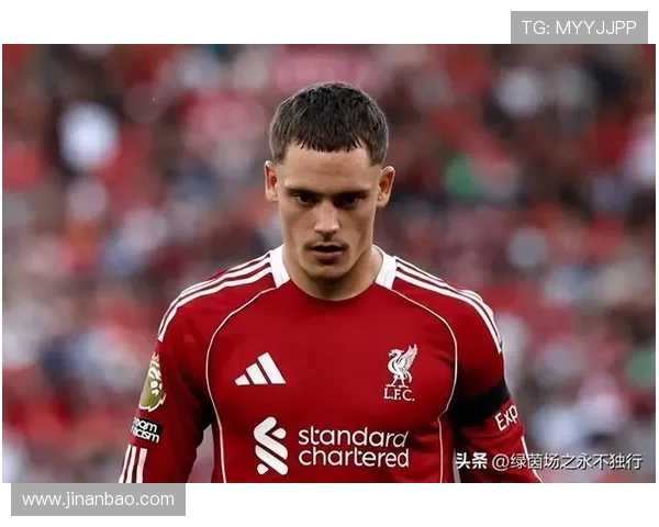 从德甲转会到英超的球员名单及转会成功案例 从德甲转会到英超的球员名单及转会成功案例