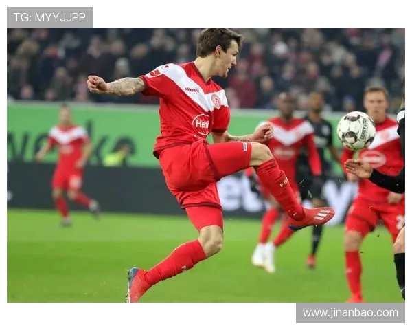 德甲中的TSG是哪支球队及其历史简介 德甲中的TSG是哪支球队及其历史简介