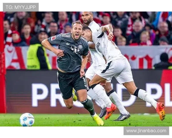 德甲参赛球队：全方位了解德国顶级联赛